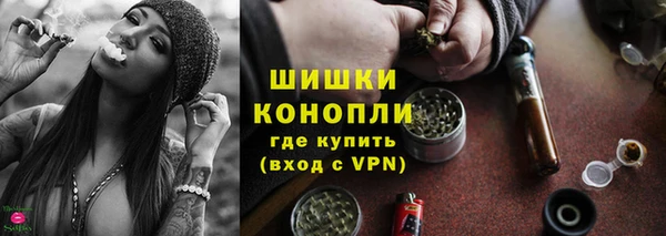 сатива Володарск