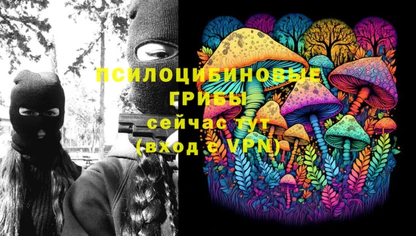 сатива Володарск