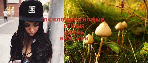 спиды Волоколамск