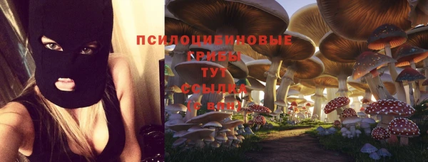 спиды Волоколамск